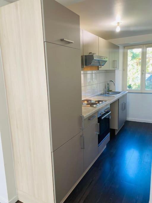 Apartament Au Petit Cocon De Coco Guebwiller Zewnętrze zdjęcie
